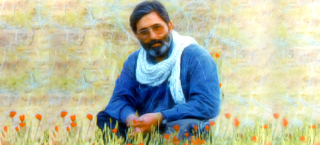 سید مرتضی آوینی